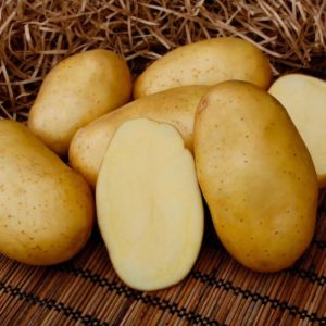 ранние семена картофеля