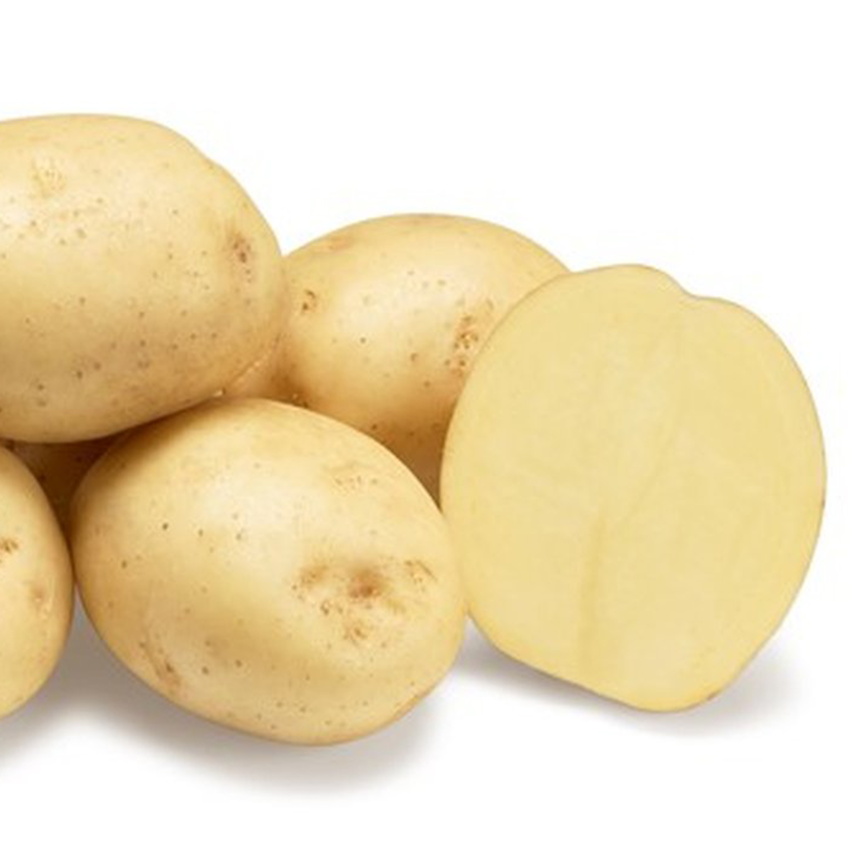 Ривьера сорт картофеля. Примабель сорт картофеля. Сорт картошки Ривера.