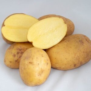 нара